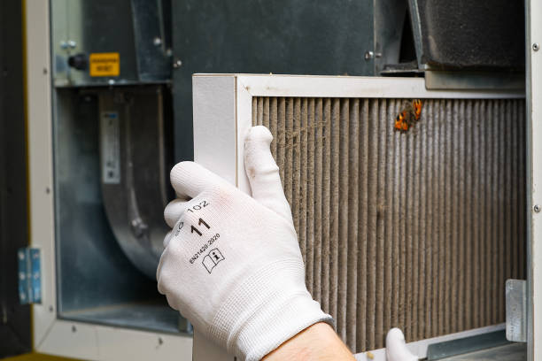 Best Affordable HVAC Duct Cleaning  in Farmville, NC
